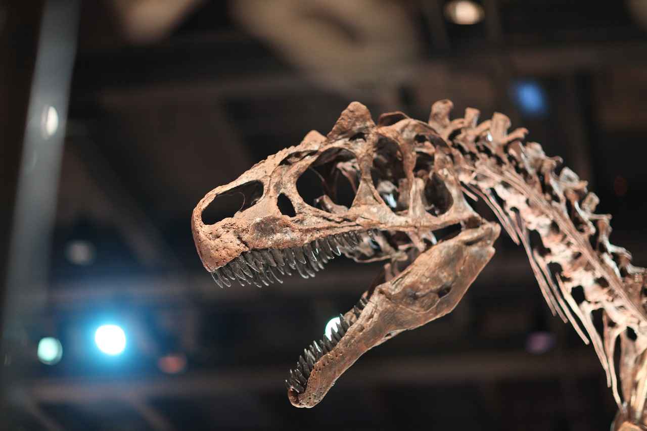 Educational Themes in Dino Rescue Episodes