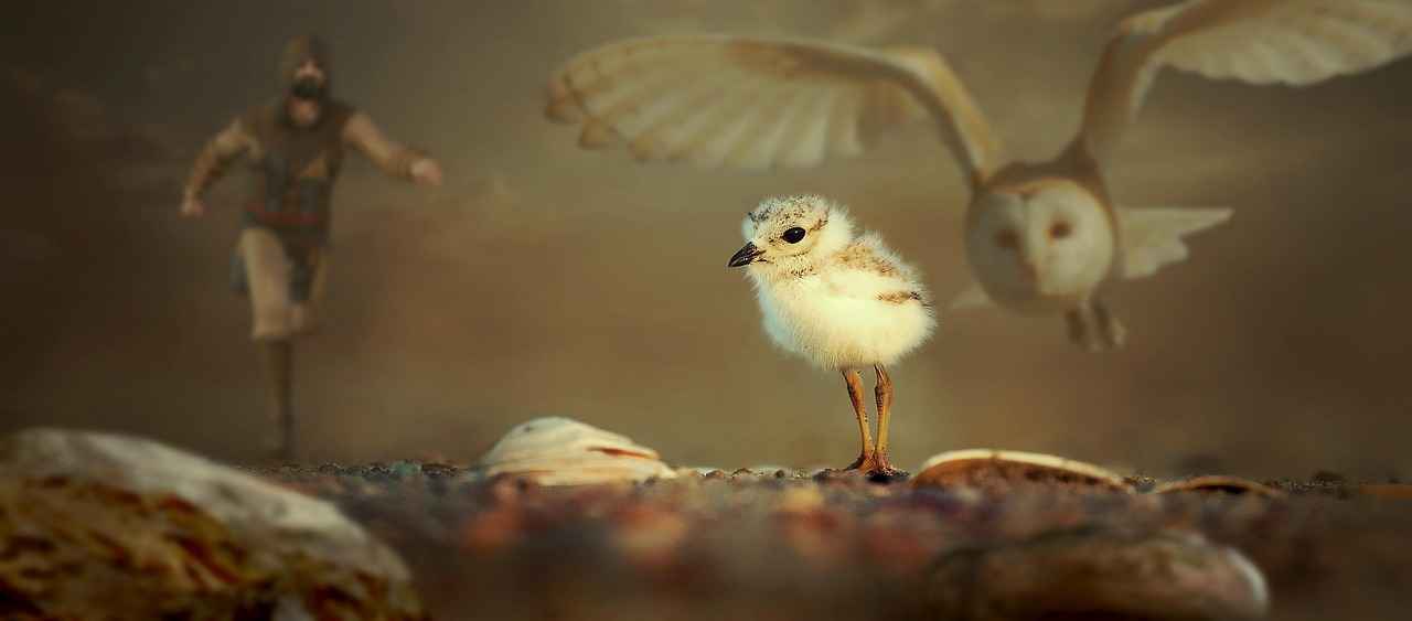 Conclusion: The Lasting Impact of Dino Rescue