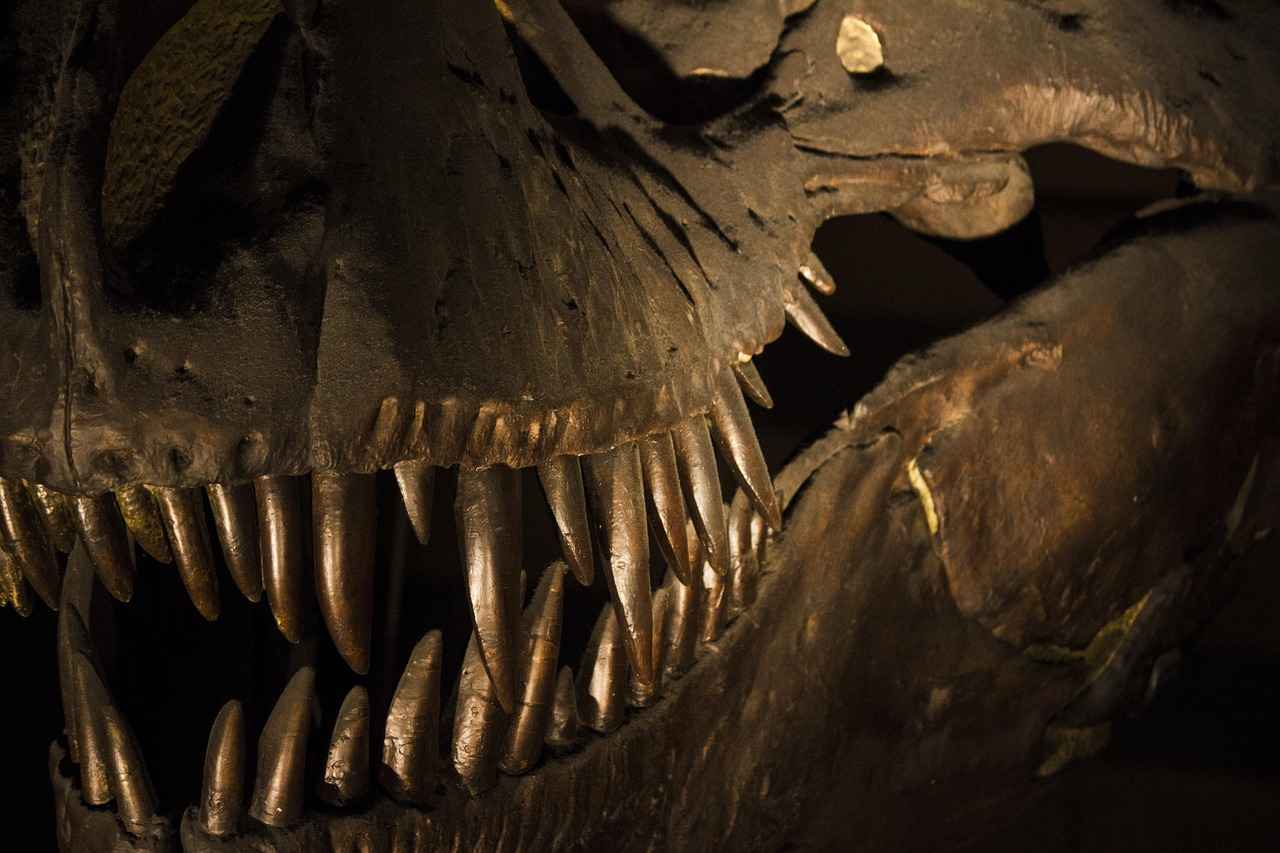 Why Dinosaurs Captivate Children