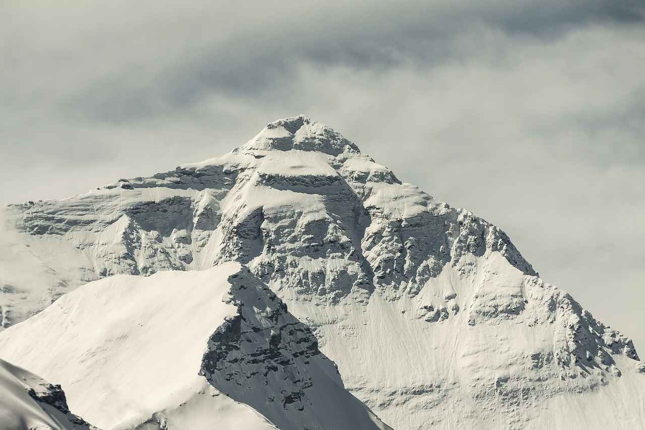Where to Find Everest Merchandise?