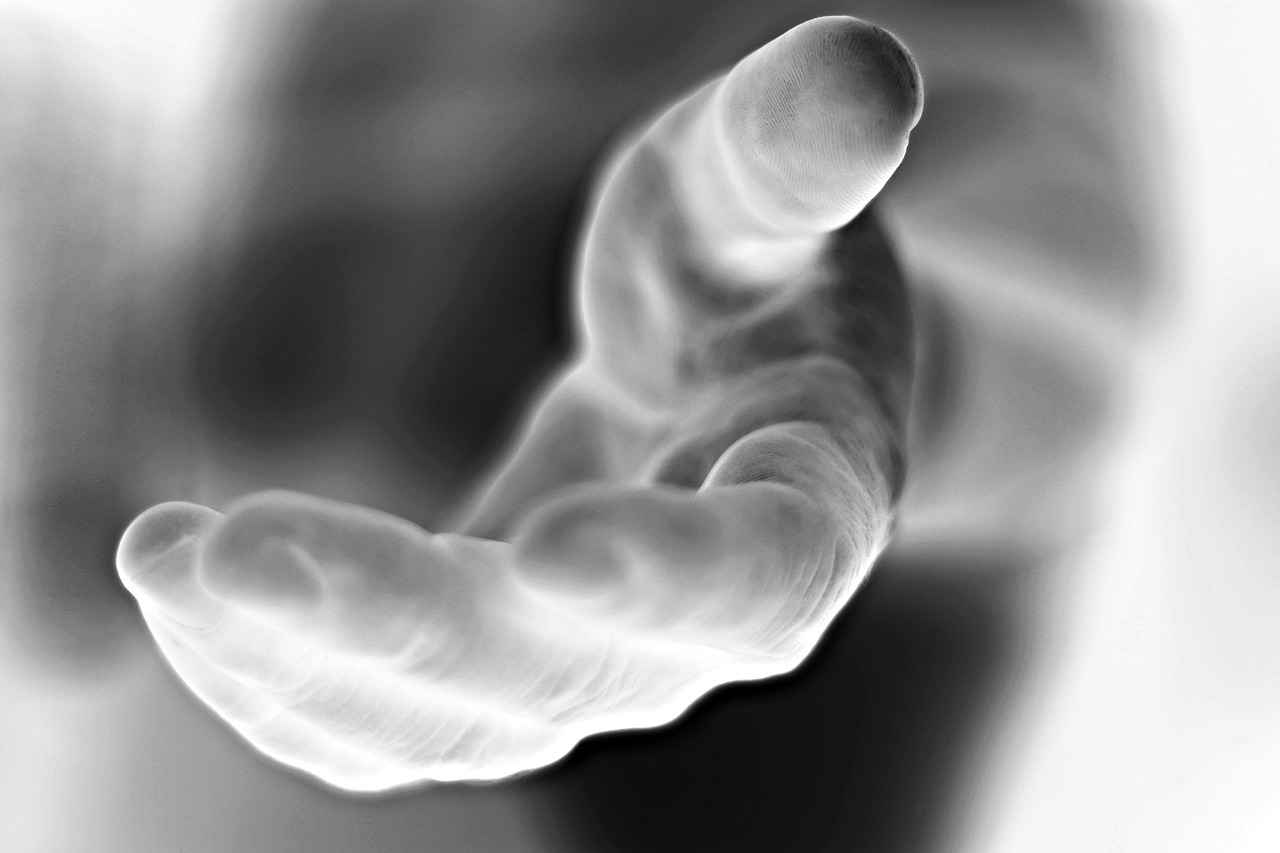 Leadership Lessons from Ryder & His Pups 1 The Importance of Teamwork in Leadership