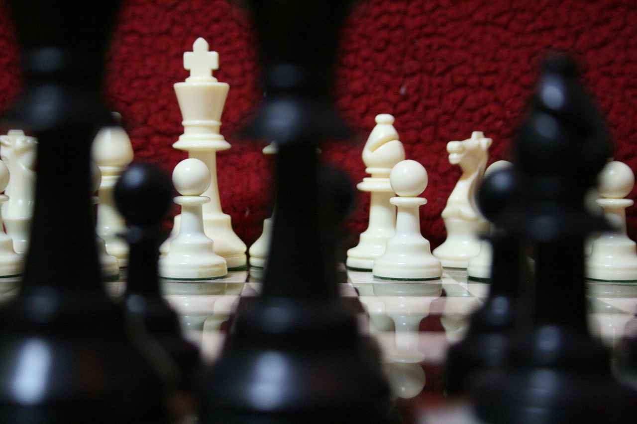 Leadership Lessons from Ryder & His Pups 3 Encouraging a Growth Mindset