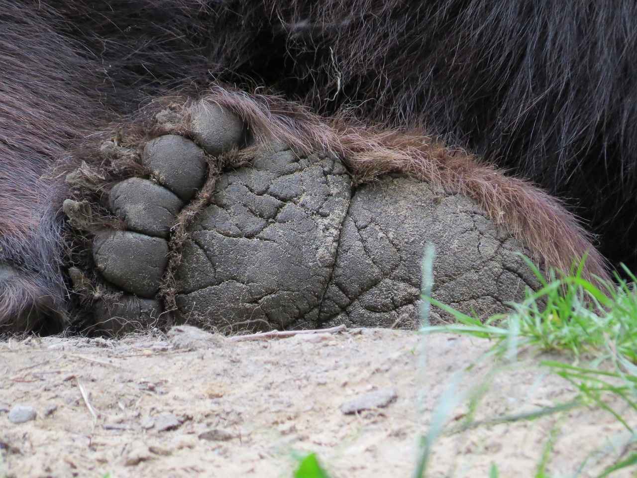 How Does Liberty Impact the Storyline?