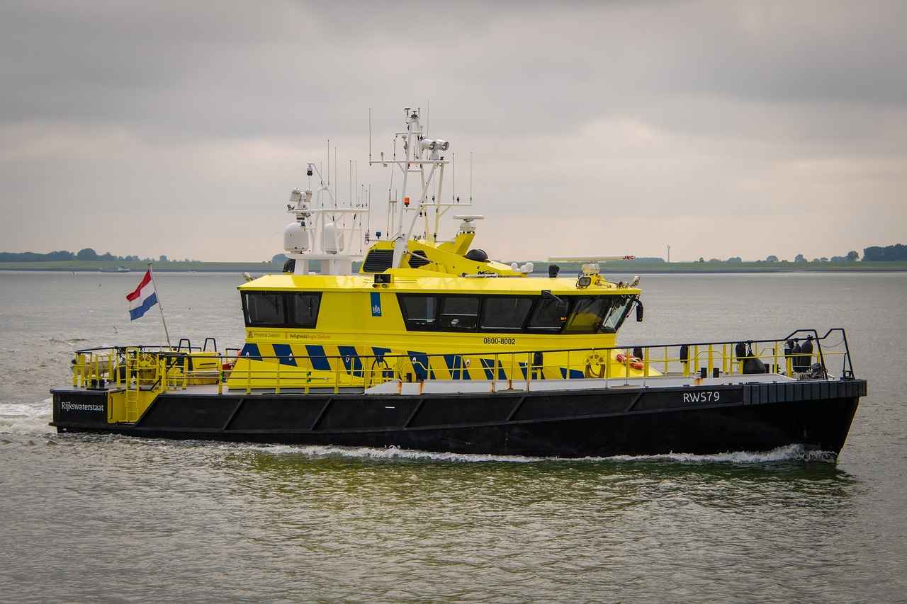 Everest: The Snow Rescue Pup