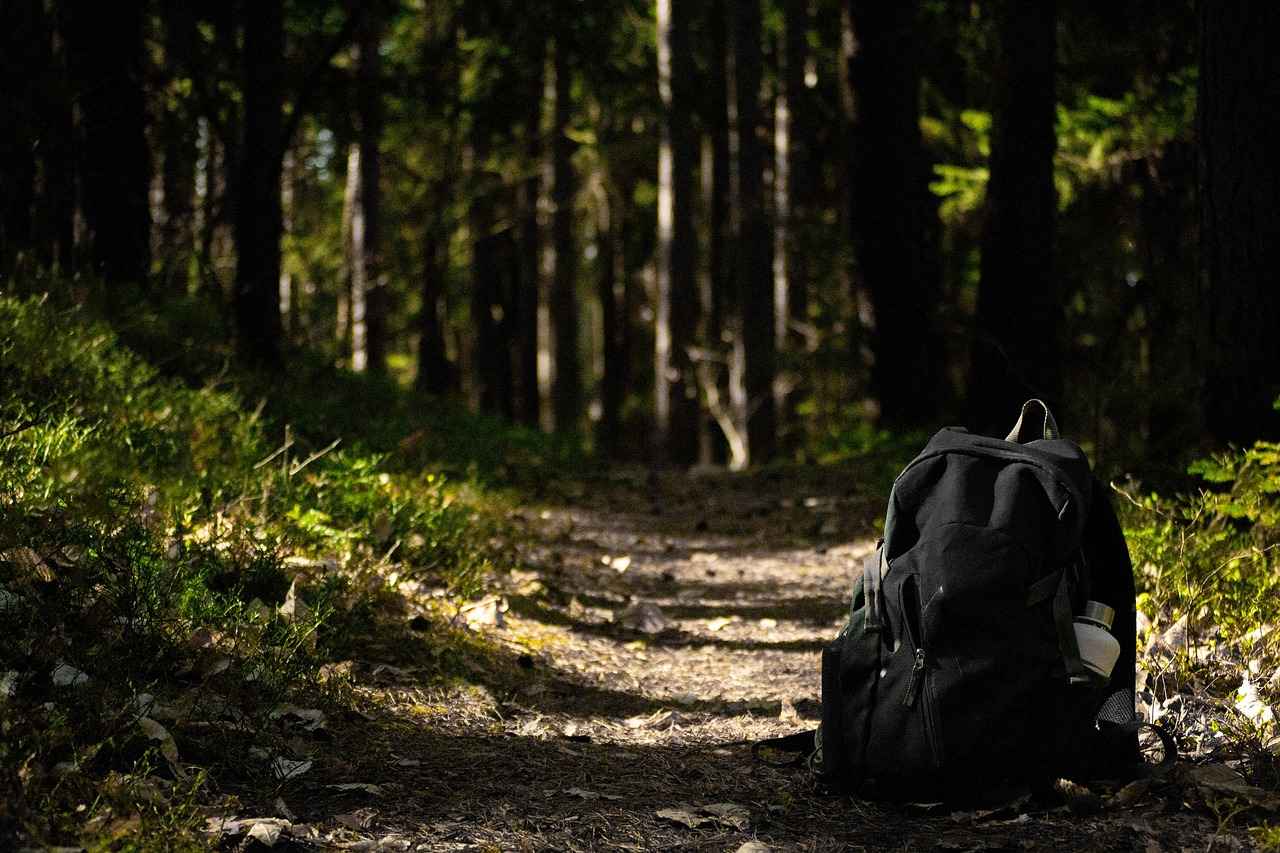 Tips for Maintaining Your Paw Patrol Backpack