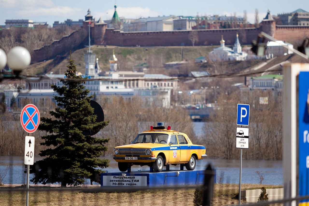 Paw Patrol Badges: What Each Pup’s Badge Represents 4 Skye's Aviator Badge