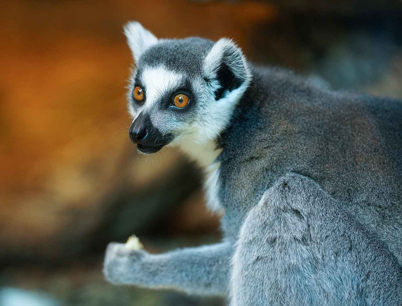 Sharing and Displaying Artwork