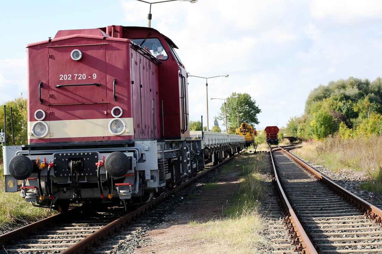 Paw Patrol Holiday Gift Guide: The Best Presents for Young Fans 5 Paw Patrol Party Supplies for Celebrations