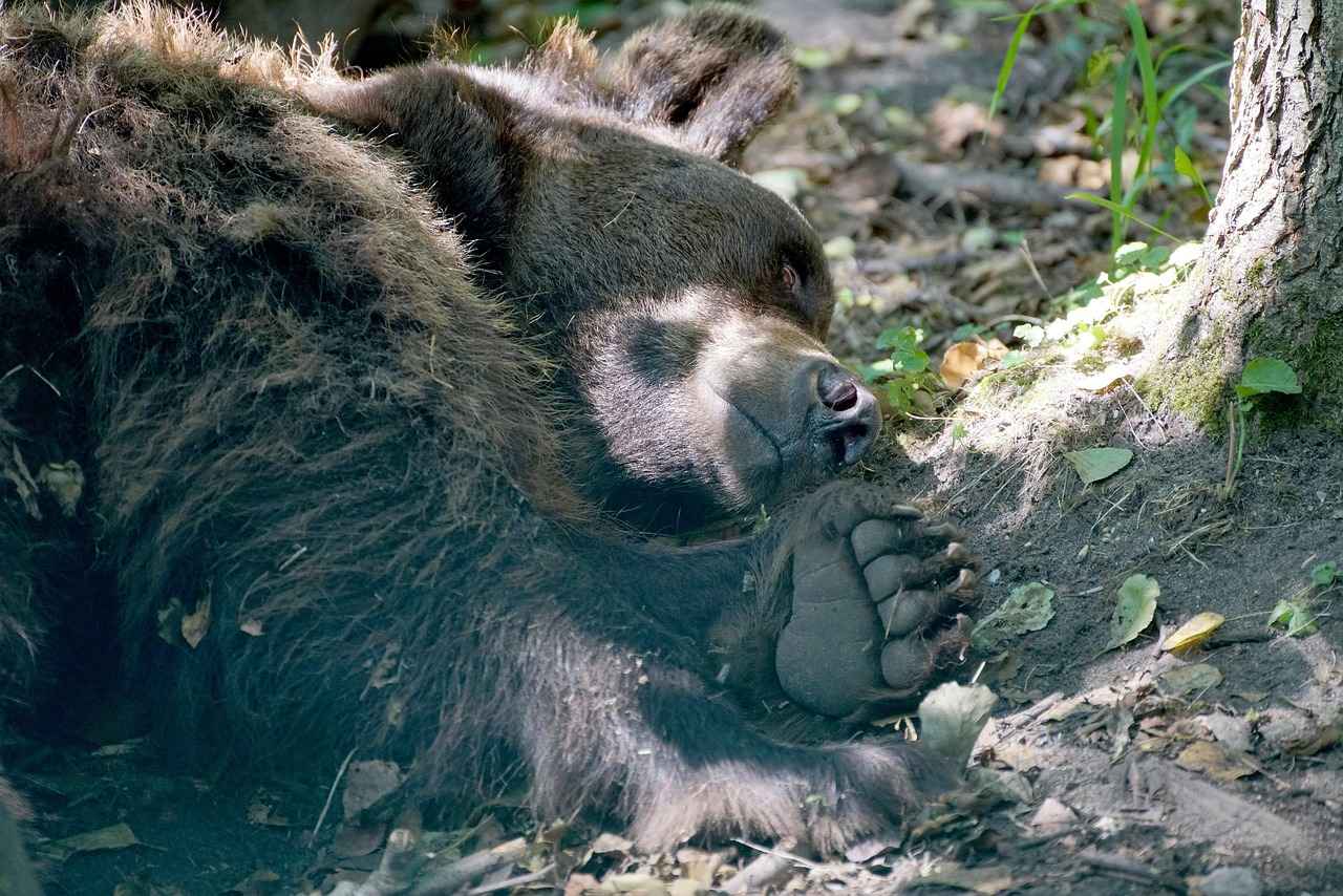 Choosing the Right Size of Knee Pads