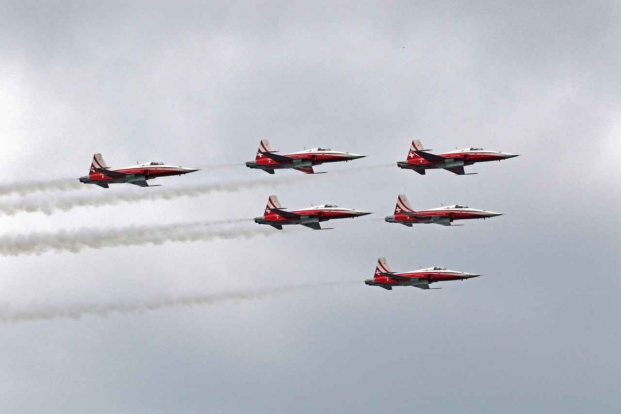 Choosing the Right Paw Patrol Lunchbox