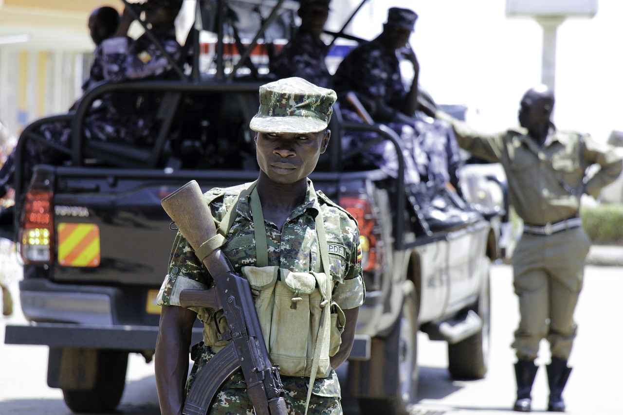 Paw Patrol Swimwear: Best Picks for Pool and Beach Fun 1 Why Choose Paw Patrol Swimwear?