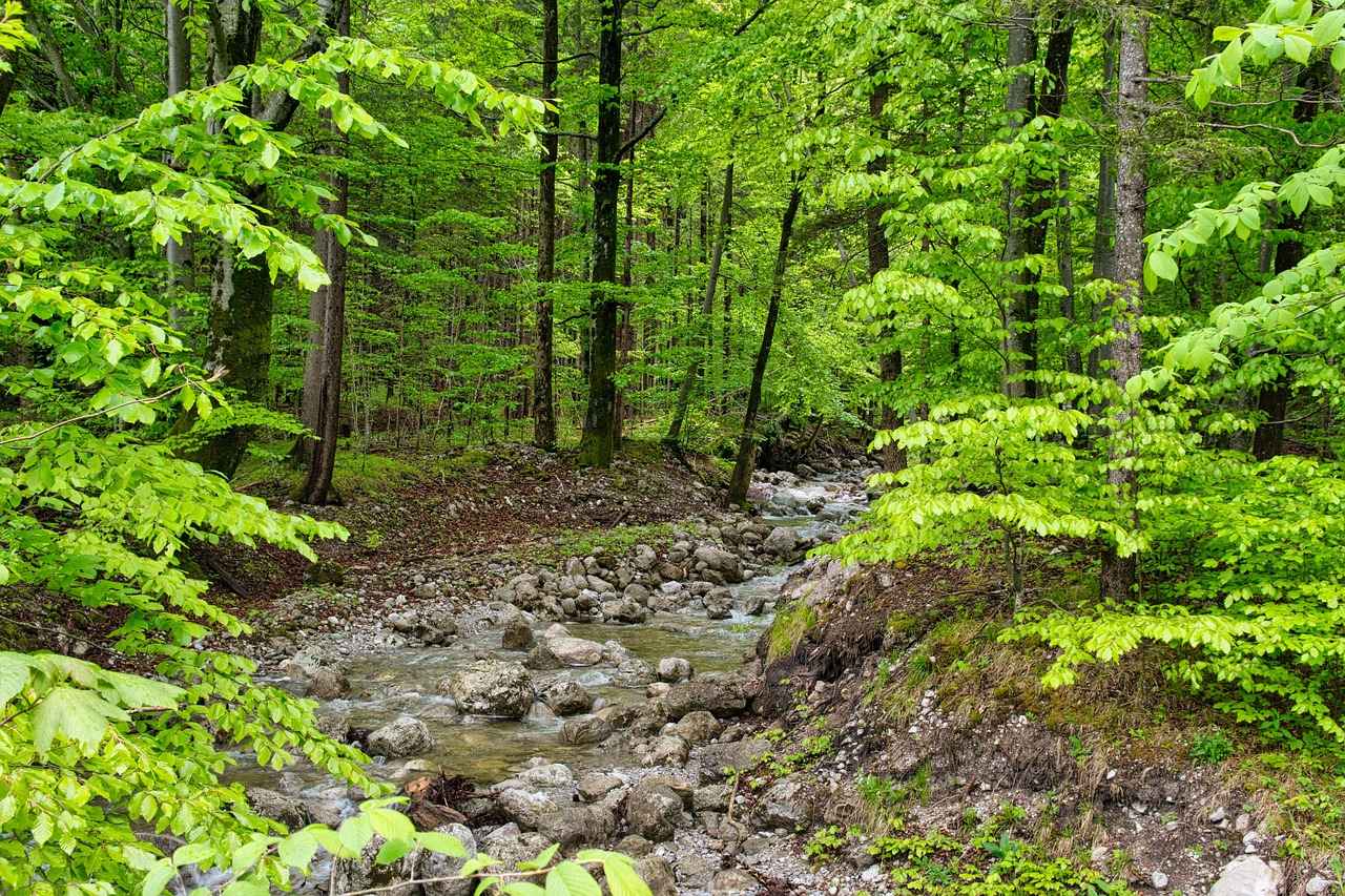 Encouraging Responsibility