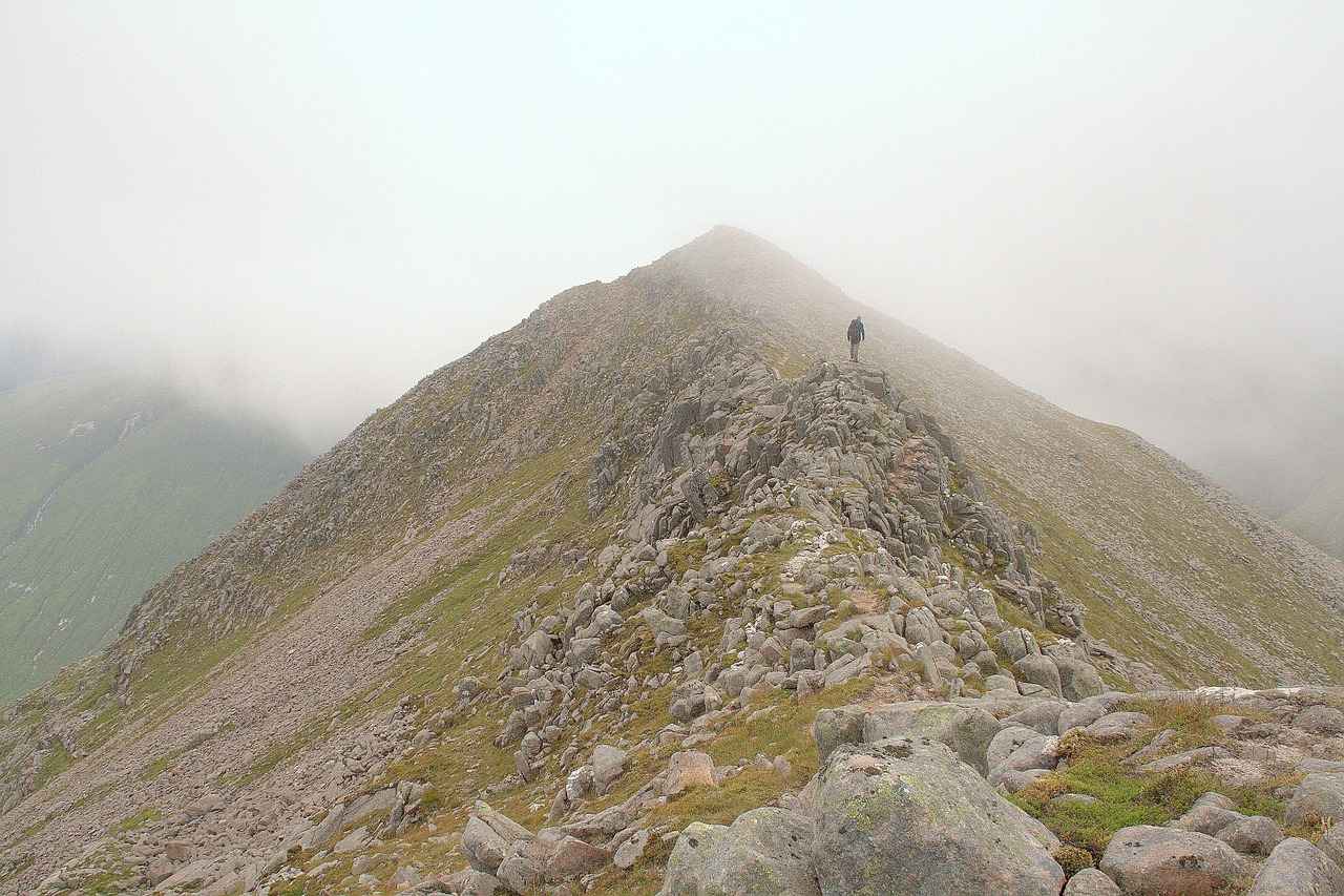 Learning from Mistakes