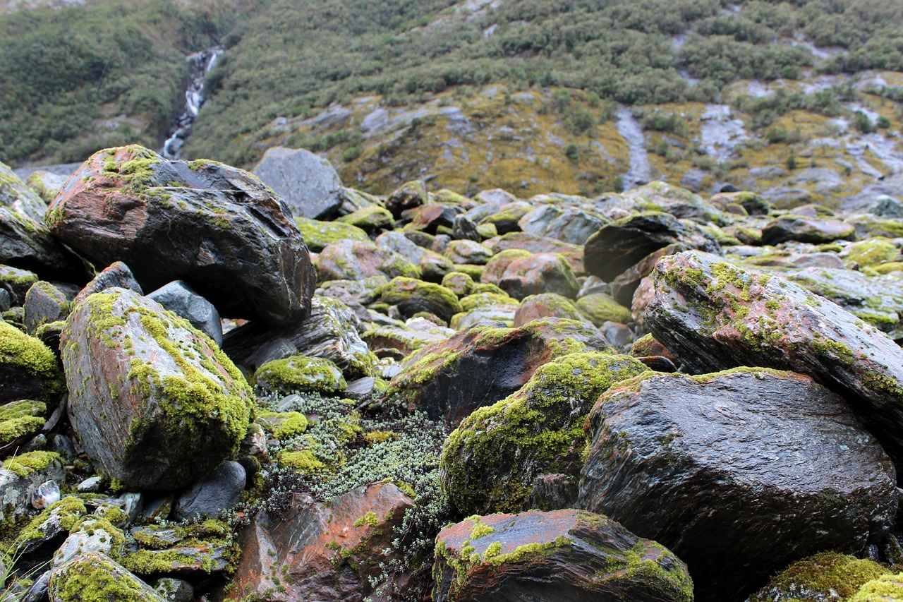 Rubble’s Story: The Construction Expert of the Team 4 What Life Lessons Does Rubble Teach Kids?