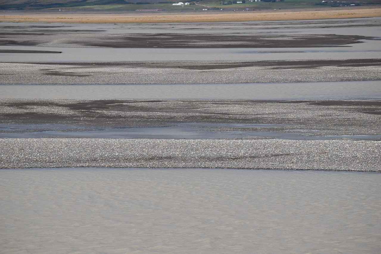 Merchandise and Popularity