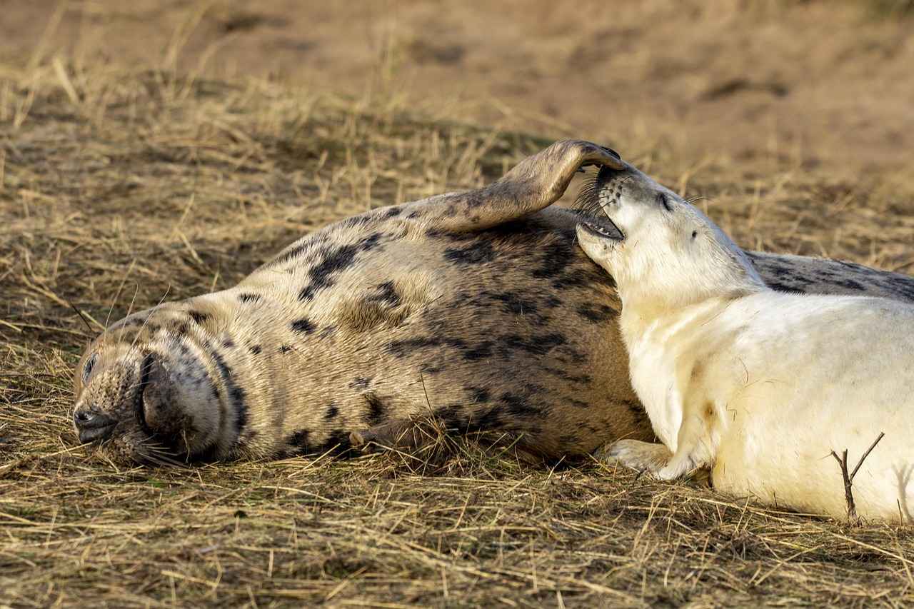 Frequently Asked Questions