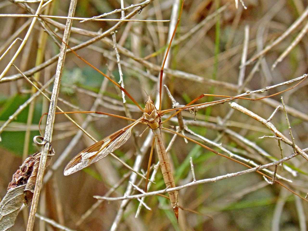 Viewer Reception and Critical Acclaim