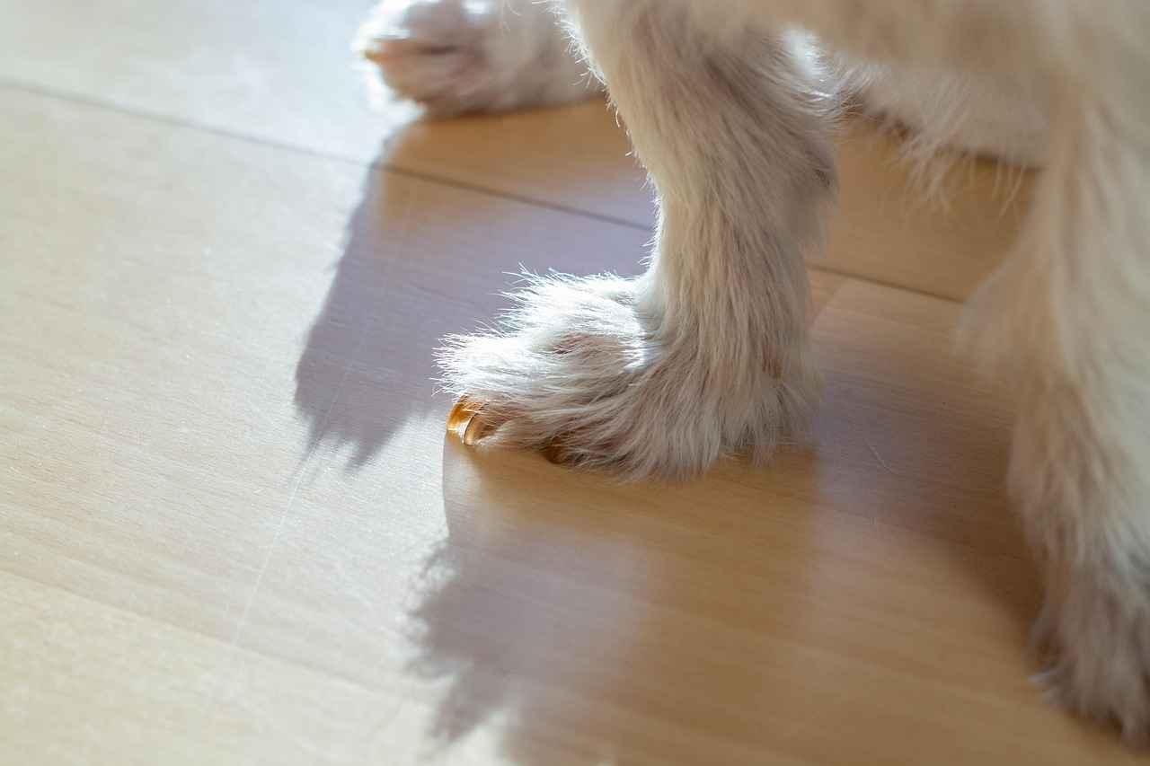 Problem-Solving and Critical Thinking