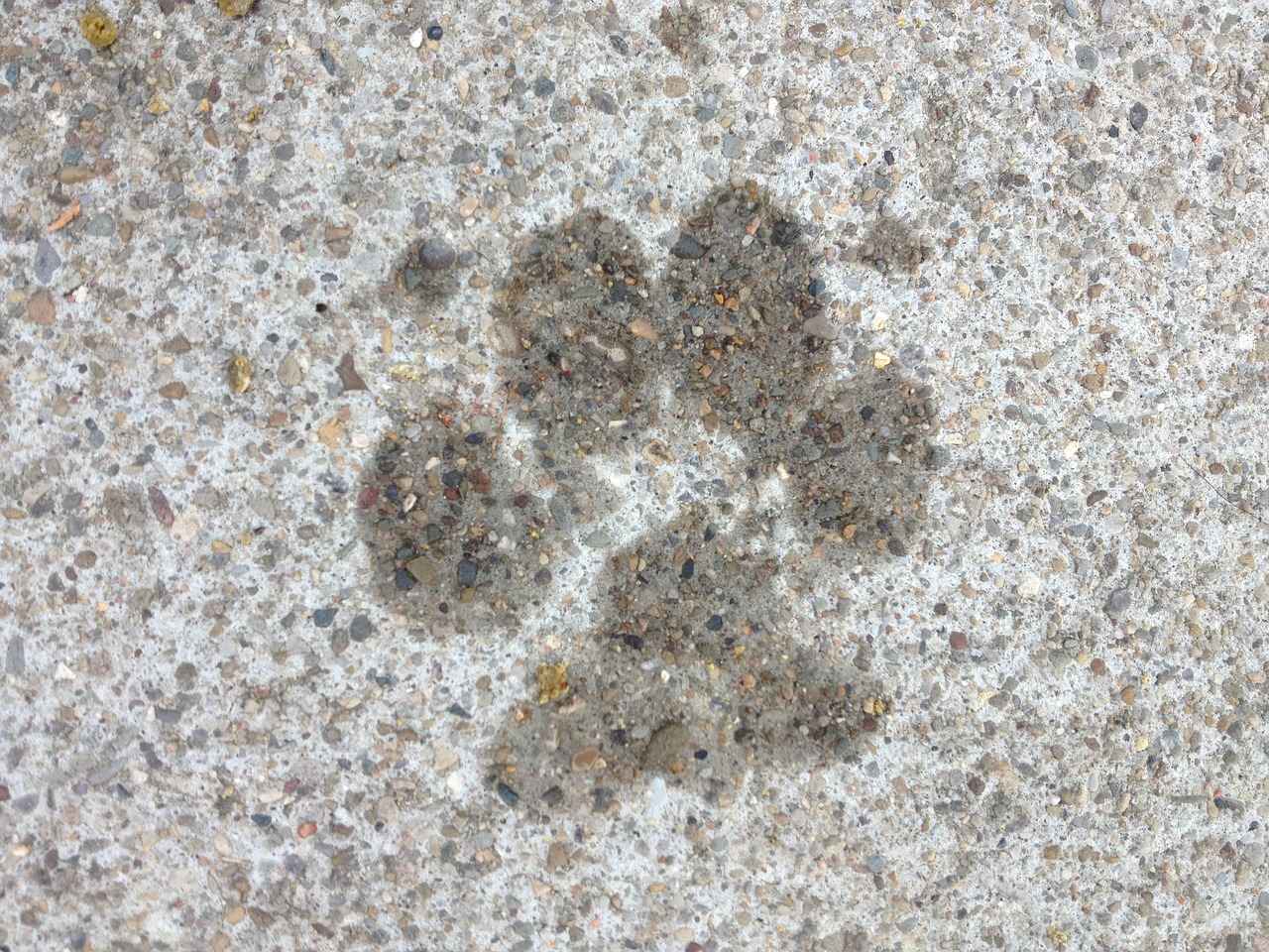 The Importance of Teamwork in Tracker's Missions