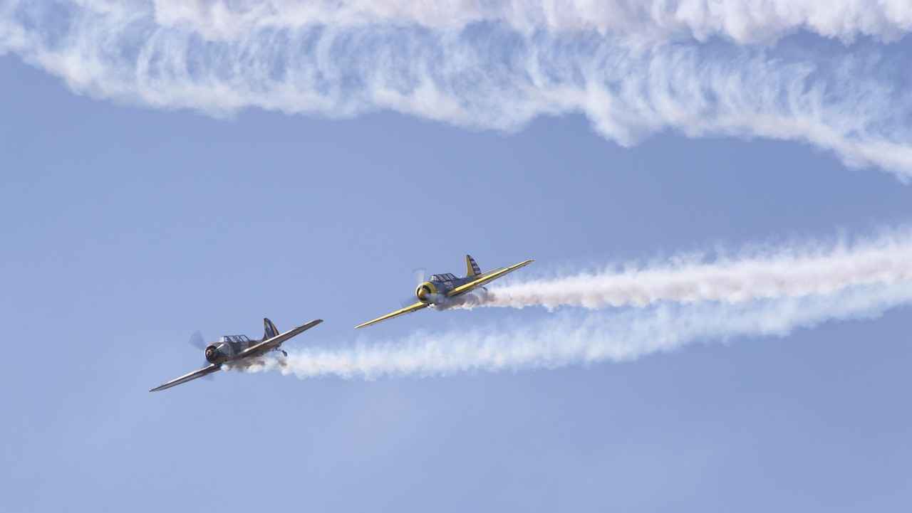 Fan Favorites: Audience Reactions