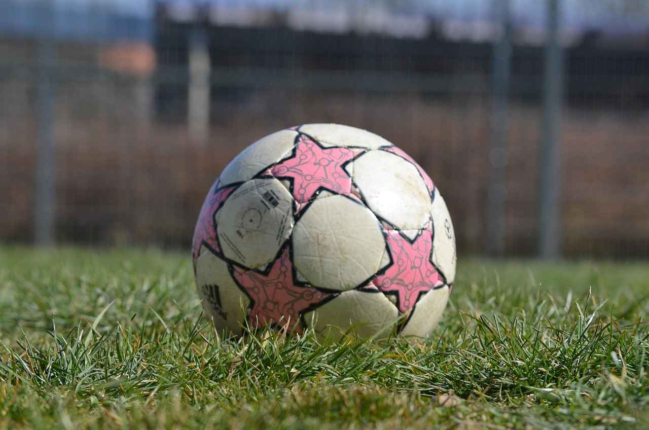 Real-Life Applications of Paw Patrol Lessons