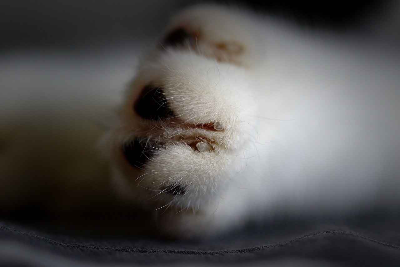 Catchphrases and Character Development