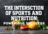 The Intersection of Sports and Nutrition: Fueling Athletic Excellence The Intersection of Sports and Nutrition: Powering Athletic Success